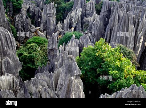 Stone Forest, Enigmatic Karst Formations and Ancient Legends!