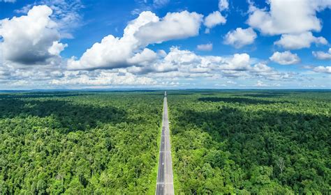  Ulu Temburong National Park: En Mystisk Ö i Brunei Inbäddad i Lush Grönska!