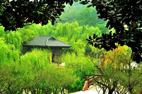 Zijinshan-berget en majestätisk överblick över Nanjing och en labyrint av tempel!